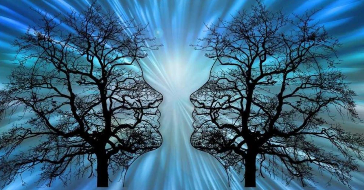 Two tree silhouettes forming faces turned toward each other